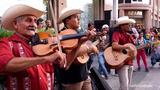 Tríos Tordo Huasteco y Eco Potosino desde el Centro de San Luis Potosí [upl. by Cthrine433]