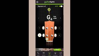 How to tune Ukulele  Short video guide [upl. by Ecerahc103]