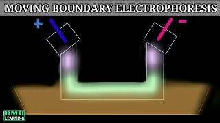 Moving Boundary Electrophoresis  Types Of Electrophoresis [upl. by Alard158]