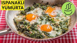 Ispanaklı Yumurta  Yumurtalı Ispanak [upl. by Grania]