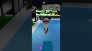 How to get fly in brookhaven [upl. by Lugo344]