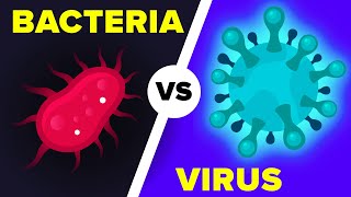 Virus vs Bacteria Whats Actually the Difference [upl. by Assenaj]