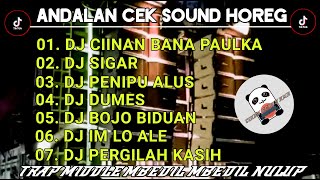 ANDALAN CEK SOUND  DJ CIINAN BANA PAULKA X PENIPU ALUS BASS NULUP MBEDIL MBEDIL TERBARU 2024 [upl. by Mindi628]