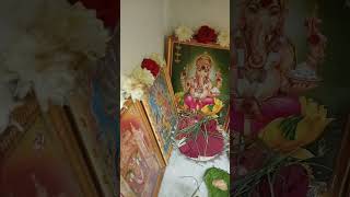 Kartikamasam pradosha Kalam 26 somavaram Pooja 🙏 [upl. by Alithia]