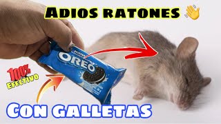 El Mejor Remedio para Eliminar RATONES  Usando Galletas [upl. by Shabbir]