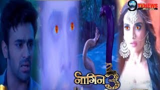 NAAGIN 316th DECEMBER 2018  Colors TV Serial  57th Episode Full Story Details REVEALED [upl. by Joashus416]