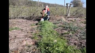 Le Potager du Paresseux  préparer ses planches 21 mars 2019 [upl. by Rraval]