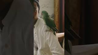 Parrot ko friend ke upar bithaya hua hai [upl. by Emmanuel]