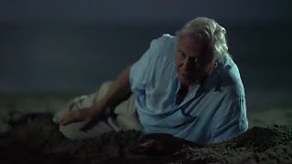 Sir David Attenborough being iconic for 25 minutes [upl. by Aninad]