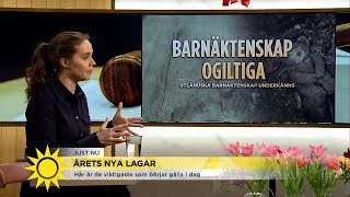 70 nya lagar  börjar gälla idag  Nyhetsmorgon TV4 [upl. by Ainavi]