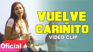 DELEITES ANDINOS  VUELVE CARIÑITO  Vídeo Oficial [upl. by Sungam791]