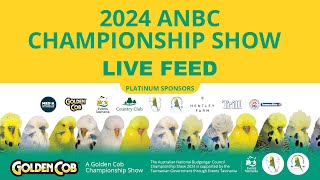 ANBC National Budgerigar Show 2024  LIVE FEED  Launceston  Tasmania [upl. by Aidne66]