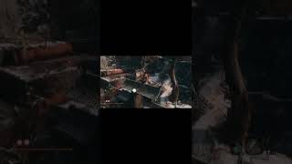 Chasing Slice  Loaded Shuriken di SEKIRO SHADOW DIE TWICE [upl. by Kerred]