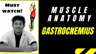 Gastrocnemius Muscle Anatomy  Lower Limb  Medseed MBBS [upl. by Jaunita499]