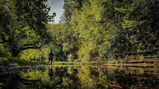 Tennessee creek fishing for smallmouth and rock bass [upl. by Ekaterina939]