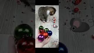 Reverse video  Throwing green beads  satisfying Video  action reverse video  cat funny cute [upl. by Halyk]