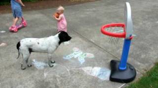 12 month old Amazing Baby Basketball shoeless slam dunk The next Shaq Watch out WNBA [upl. by Sine]