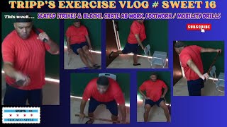 Tripps Exercise Vlog  Sweet 16 Seated Strikes amp Blocks Crate Ab Work Footwork  Mobility Drills [upl. by Arrek]