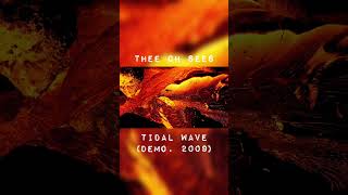 Thee Oh Sees  Tidal Wave demo 2009 theeohsees oseesarchive [upl. by Henricks]