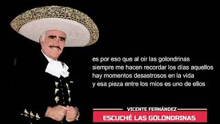 Escuché las golondrinas  Vicente Fernández Letra [upl. by Clementine]