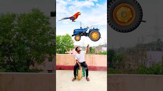 Catching big hen cycle girl horse vs giant frog amp tractor  Funny vfx magic 😄 [upl. by Ennasor]