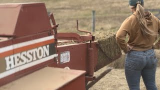 How To Turn Round Bales Into Square Bales [upl. by Salli]