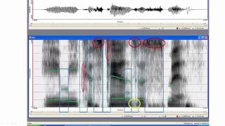 Step by step through a spectrogram [upl. by Frear]