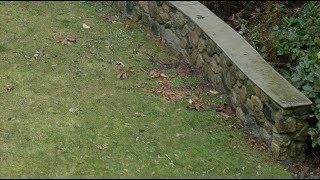 Stonework clips Handformed concrete cap [upl. by Collyer23]