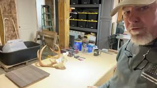 Taxidermy Shop Buildout UPDATE [upl. by Neeroc]