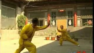 Li LuoNeng Xingyi Quan 李洛能与形意拳 [upl. by Ivor]