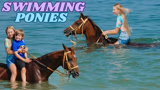 WE WENT SWIMMING WITH HORSES IN DUBAI [upl. by Martguerita]