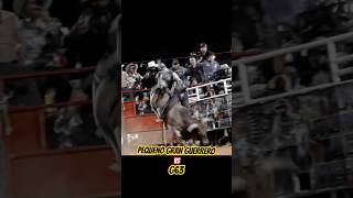 Pequeño gran Guerrero VS G63 [upl. by Ayocat]