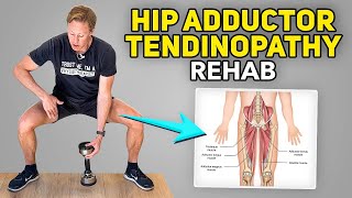 Hip Adductor Injury Rehab Exercises  Groin Muscles [upl. by Shirline]