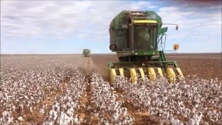 West Texas Cotton Harvest 2015 [upl. by Truda212]