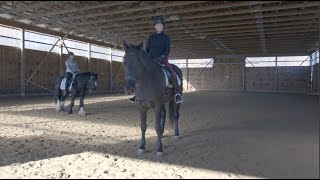 How to Get better Rhythm  What are the Mechanics of Walk Trot and Canter Understanding Rhythm [upl. by Ylrac]