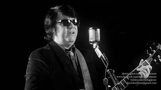 Dave Collisons Roy Orbison Tribute Montage [upl. by Inahpets]