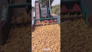 Maize making machine viralvideo short [upl. by Areek]