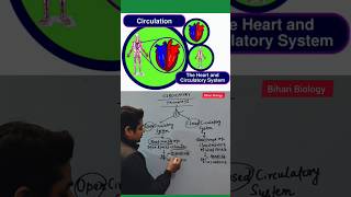 Open and closed Circulatory System neet2024 biology youtubeshorts circulatorysystem shorts [upl. by Asta]