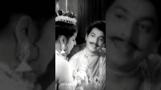 Othenante Makan Movie Scene  Prem Nazir  Sathyan shorts [upl. by Eustacia]