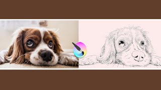 Turn any photograph into a pencil sketch using Krita [upl. by Pilloff]