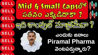 Mid amp Small Capsలో పతనం ఎందాక ఇది శాంపుల్ మాత్రమేనా ఎందుకు జనాలంతా Piramal Phara వెంటపడ్తున్నారు [upl. by Berte582]