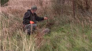 Ditch Trapping South Dakota Coon [upl. by Lamonica]