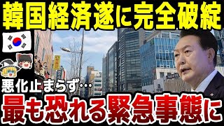 【ゆっくり解説】日本を真似した結果韓国政府が最も恐れる事態に…！負のスパイラルにはまり経済完全破綻へ。 [upl. by Seraphim]