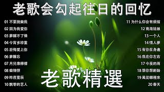 70、80、90年代由台湾歌手演唱的🍀【懷舊經典老歌】【老歌精選】🍀群星金曲📀一人一首成名曲《青山  不要拋棄我 姚苏蓉  因为我爱你 夢醒不了情  譚顺成 今宵多珍重  尤雅》 [upl. by Entwistle]