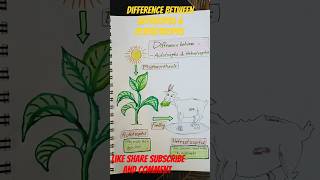 Difference between autotrophs amp heterotrophsviralvideo biology shorts videoshortsviral [upl. by Millar]