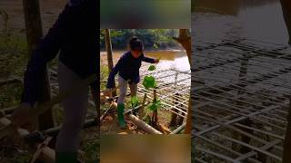 Bamboo bed for vegetablefood farmingvegetableshortssarasingpho [upl. by Sallad]