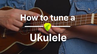 Ukulele Tutorial How To Tune a Ukulele [upl. by Asinet]