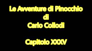 Audiolibro C Collodi Le Avventure di Pinocchio  Capitolo XXXV [upl. by Tnirb]