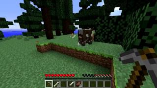 Minecraft Blocks amp Items Bones [upl. by Lairret]