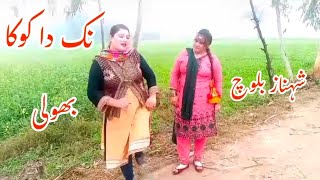 Nak Da Koka Malkoo Sara Altaf  Village Life Vlog  New Video 2024  Singer Shahnaz Baloch [upl. by Ellwood]